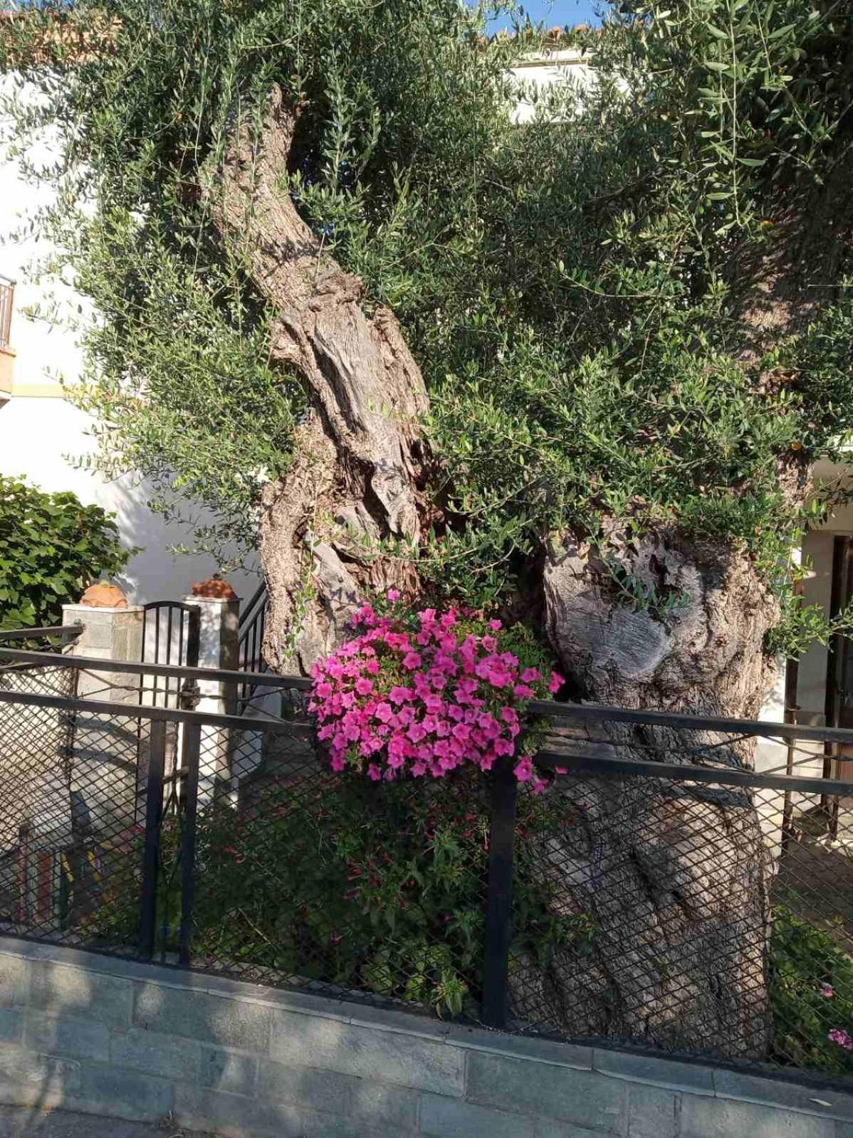 Aegean Balcony Villa Skála Kallirákhis Exteriör bild